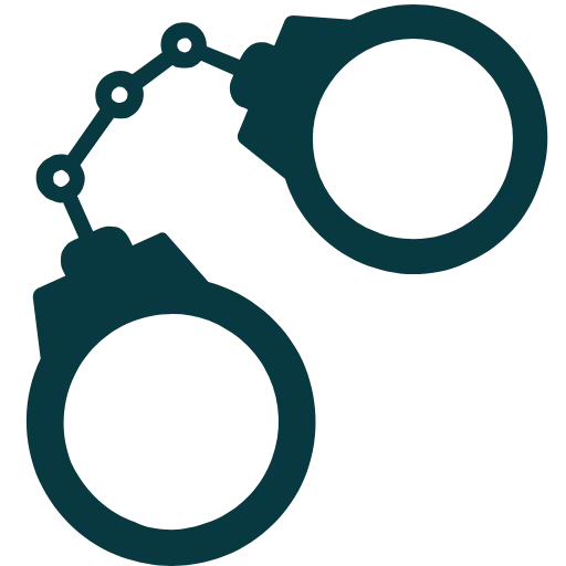 Criminal Lawyer